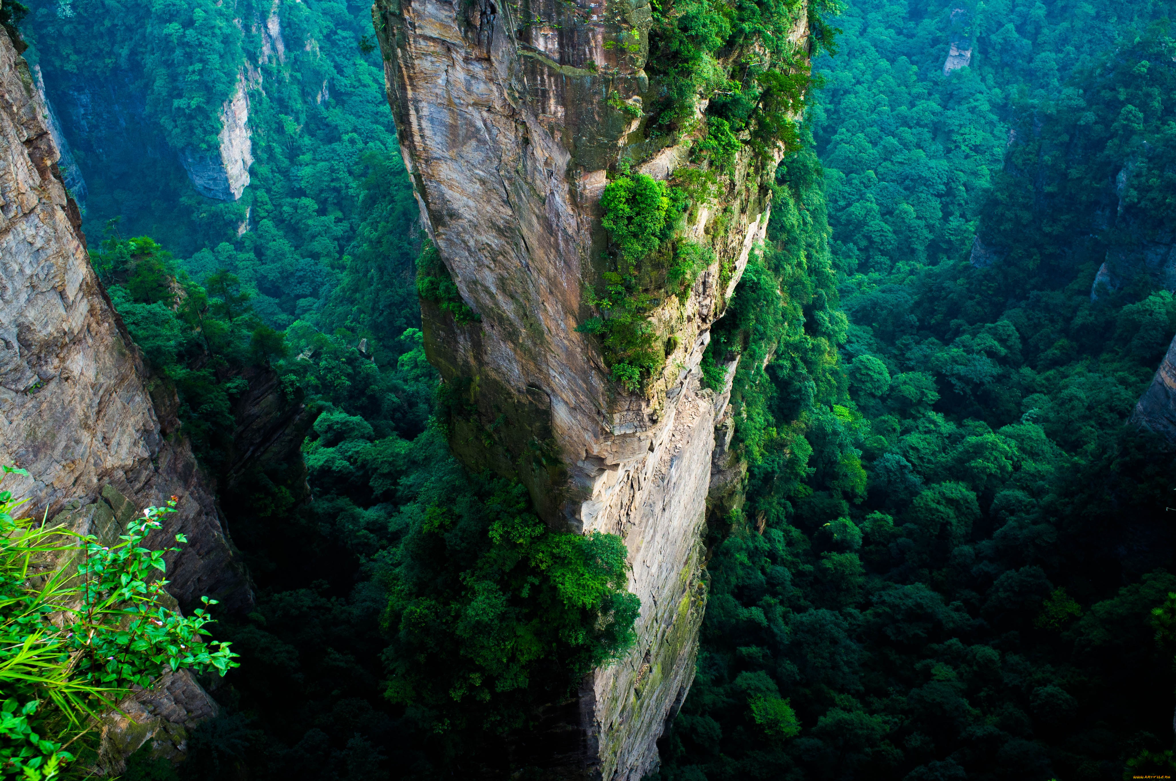 , , , , , , , , , , , , , , , zhangjiajie, national, park